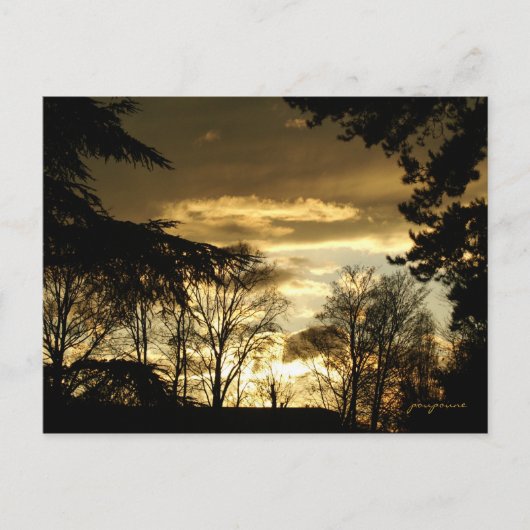 gouden zon briefkaart (Voorkant)