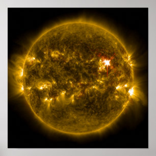 gouden zon poster