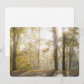 Gouden zonlicht door herfstbomen feestdagenkaart (Voorkant / Achterkant)