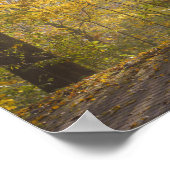 Gouden zonlicht door herfstbomen poster (Hoek)