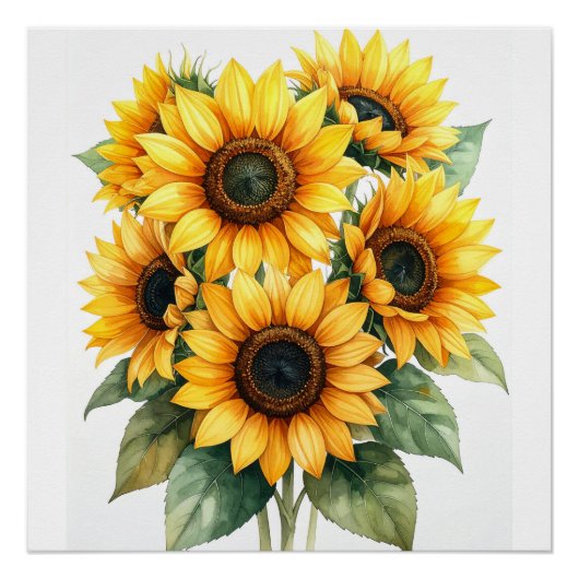 Gouden Zonnebloem Bloei Poster (Voorkant)