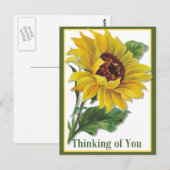 gouden zonnebloem briefkaart (Voorkant / Achterkant)