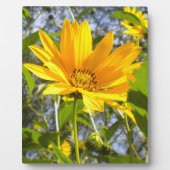 gouden zonnebloem fotoplaat (Voorkant)