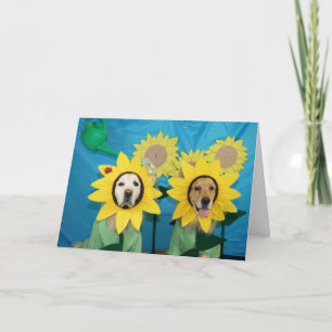 Gouden Zonnebloem gefeliciteerd Kaart