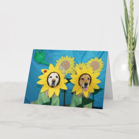 Gouden Zonnebloem gefeliciteerd Kaart (Voorkant)