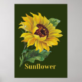 gouden zonnebloem poster (Voorkant)