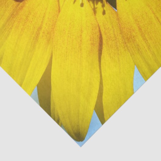 gouden zonnebloem tissuepapier (Detail)