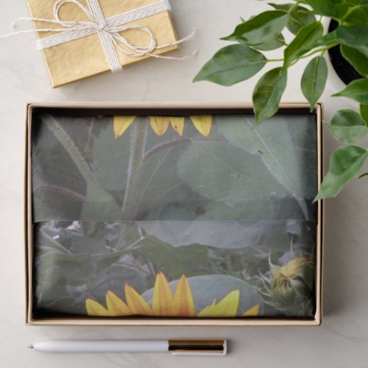 gouden zonnebloem tissuepapier (Geschenk)