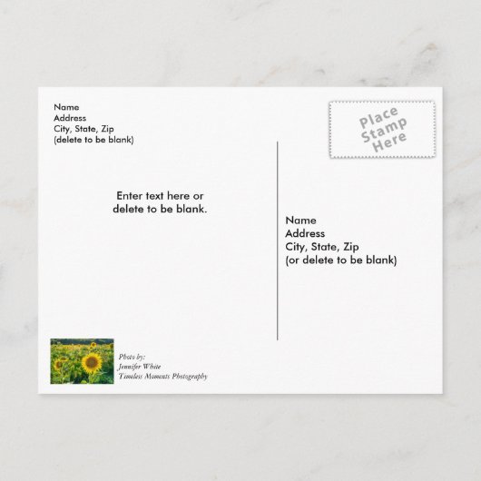 Gouden Zonnebloemveld Bedankkaart Briefkaart (Achterkant)