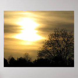 Gouden zonsondergang met silhouetbomen poster