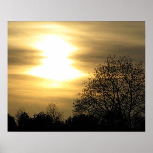 Gouden zonsondergang met silhouetbomen poster (Voorkant)