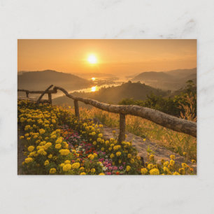 Gouden Zonsondergang Over Bloeiende Heuvels Briefkaart