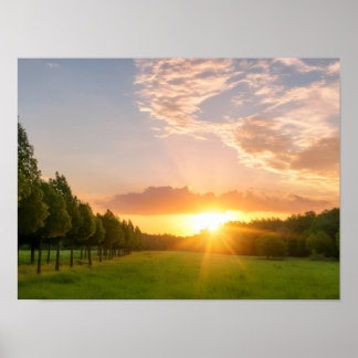 Gouden Zonsondergang Over Groen Veld Met Boomlaan  Poster