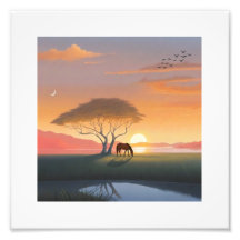 Gouden Zonsondergang Savanne Paard Vrede Thuis