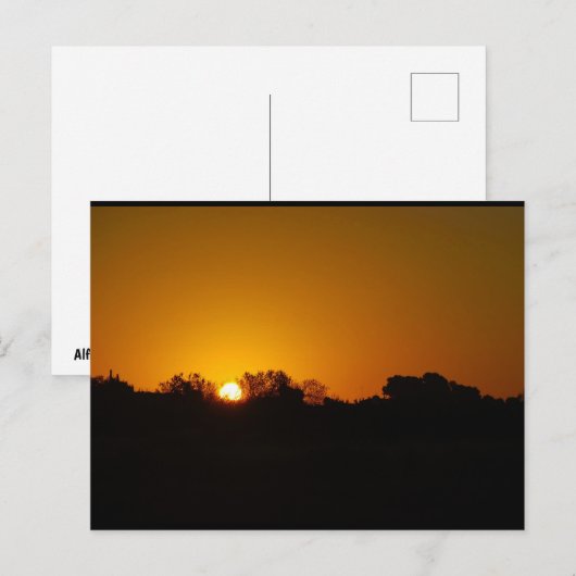 Gouden Zonsopgang Briefkaart (Voorkant / Achterkant)