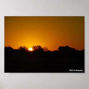 Gouden Zonsopgang Poster