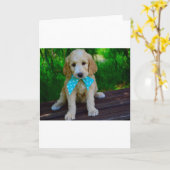 goudendoedle puppy kaart (Gele Bloem)