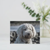 goudendoekje briefkaart (Staand voorkant)