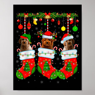 Goudendoodle-hond in kerstsokken Grappige huisdier Poster