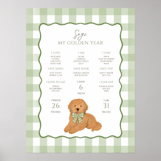 Goudenjaren Doodle Puppy Hond 1e Verjaardag Mijlpa Poster (Voorkant)