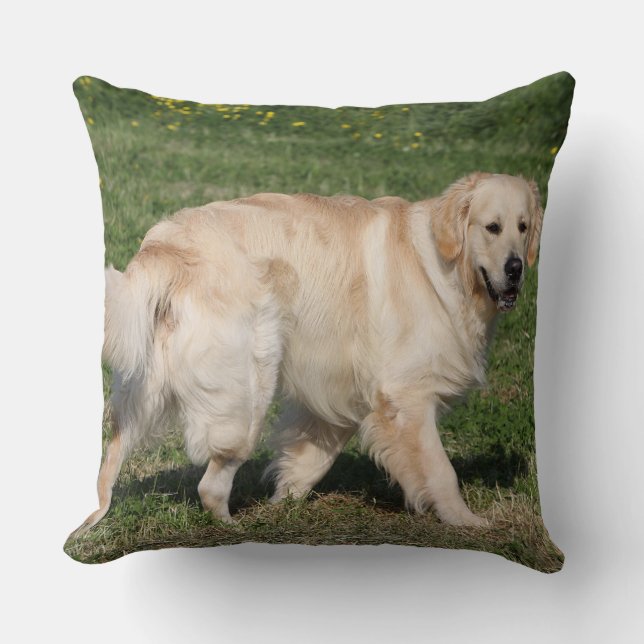 Goudens Retriever Wandelend Kussen (Voorkant)