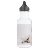 Goudent Retriever Foto Waterfles (Links)