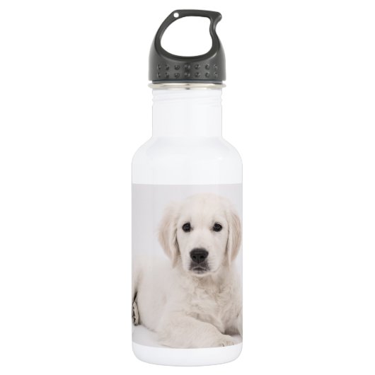 Goudent Retriever Foto Waterfles (Voorkant)