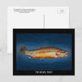 Goudforel op blauw water, Briefkaart (Voorkant / Achterkant)