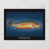Goudforel op blauw water, Briefkaart (Voorkant)