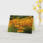 Goudgele bloemen, tuinbloem, natuur kaart (Gele Bloem)