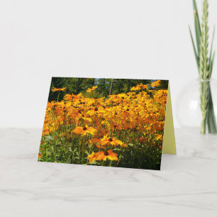 Goudgele bloemen, tuinbloem, natuur kaart