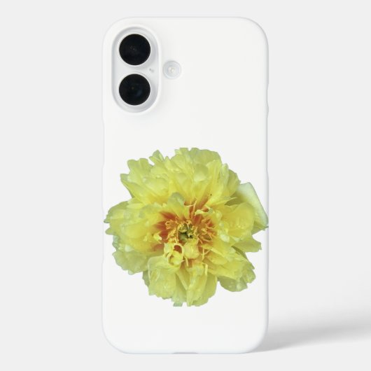 Goudgele pioen op witte iPhone / iPad hoesje (Achterkant)
