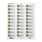 Goudgemantelde Grondsquirrel bij Mount Rainier Etiket (Full Sheet)