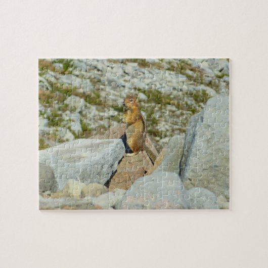 Goudgemantelde Grondsquirrel bij Mount Rainier Legpuzzel (Horizontaal)