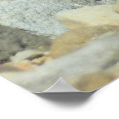 Goudgemantelde Grondsquirrel bij Mount Rainier Poster (Hoek)