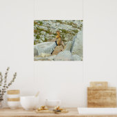 Goudgemantelde Grondsquirrel bij Mount Rainier Poster (Keuken)