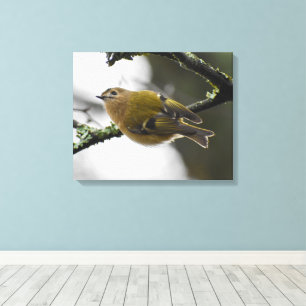 Goudhaan  canvas afdruk