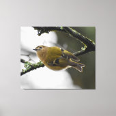 Goudhaan  canvas afdruk (Voorkant)