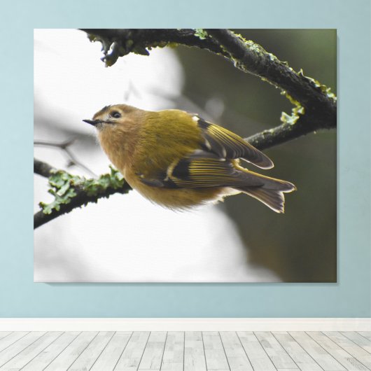 Goudhaan  canvas afdruk (Insitu (Houten vloer))
