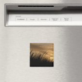 goudhemel magneet (Insitu (Vaatwasser))