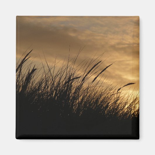 goudhemel magneet (Voorkant)