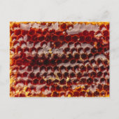 Goudhoningraat Briefkaart (Voorkant)