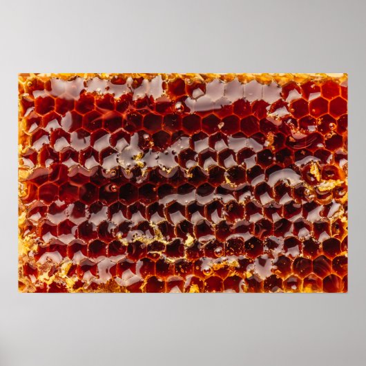 Goudhoningraat Poster (Voorkant)