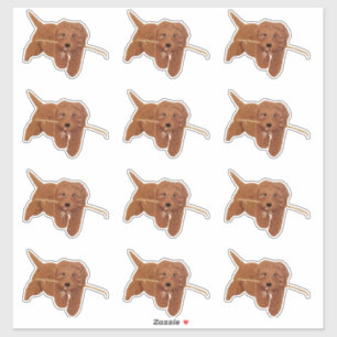 Goudie Doodle op maat gemaakte stickers