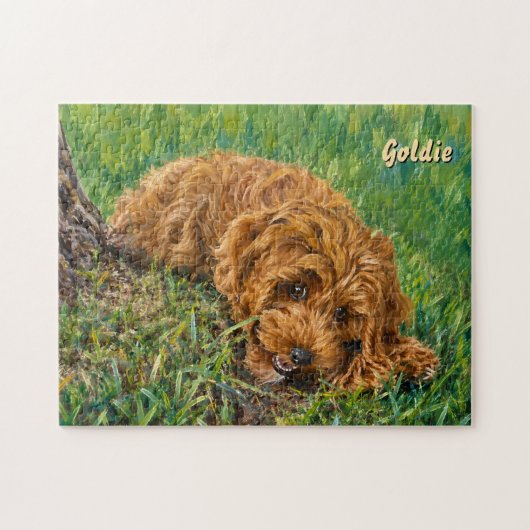 Goudie Doodle Puzzel (Horizontaal)