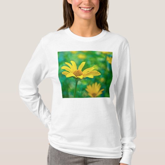 Goudie T-shirt (Voorkant)