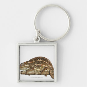 Goudkameleon, Campan's kameleon Sleutelhanger