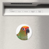 Goudkleurig conuut magneet (Insitu (Vaatwasser))