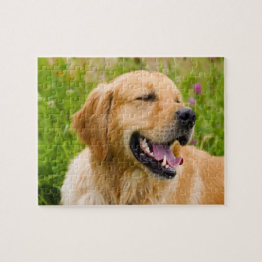 Goudkleurige retriever hond. legpuzzel (Horizontaal)