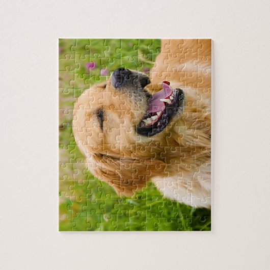 Goudkleurige retriever hond. legpuzzel (Verticaal)